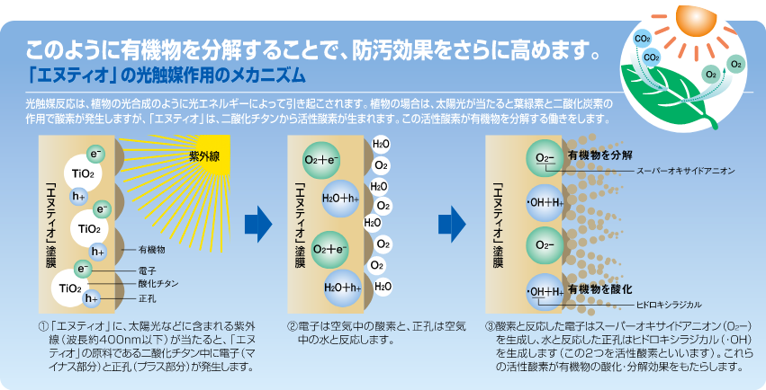 エヌティオのメカニズム